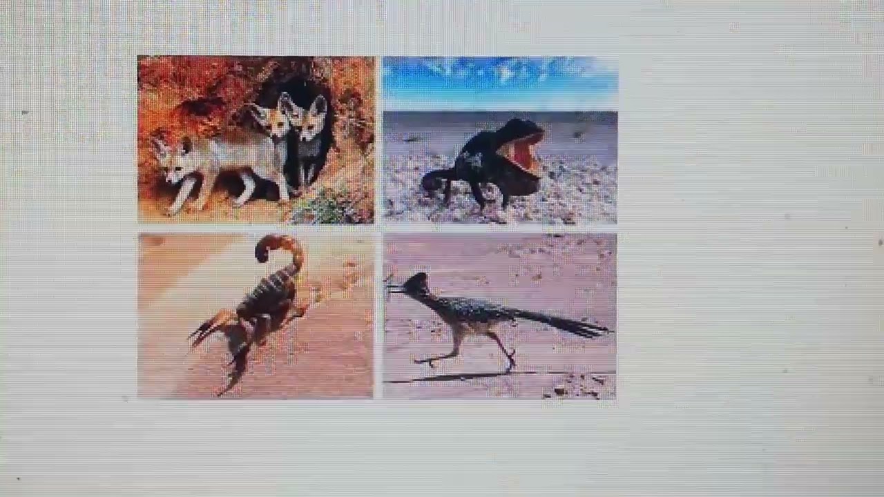 animales de las regiones tropicales