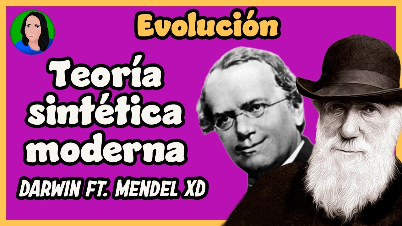 características de la teoría sintética