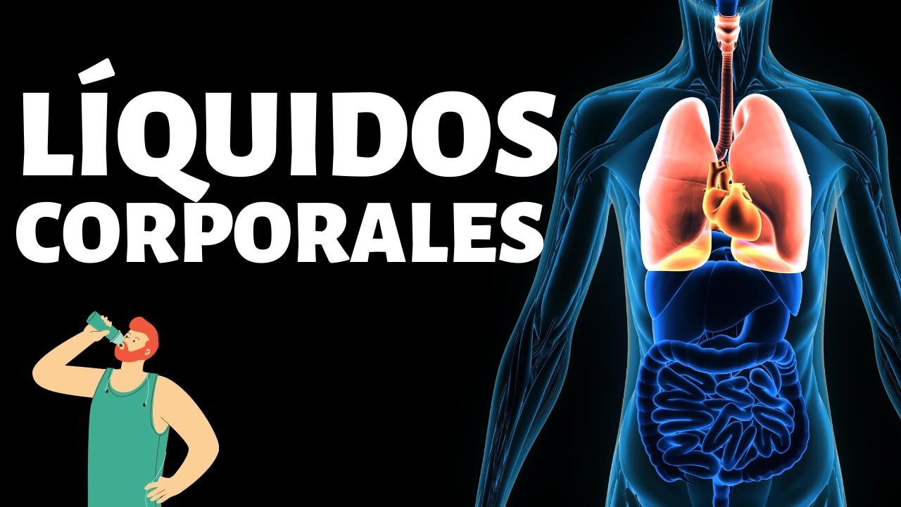 cation mas abundante en el liquido intracelular