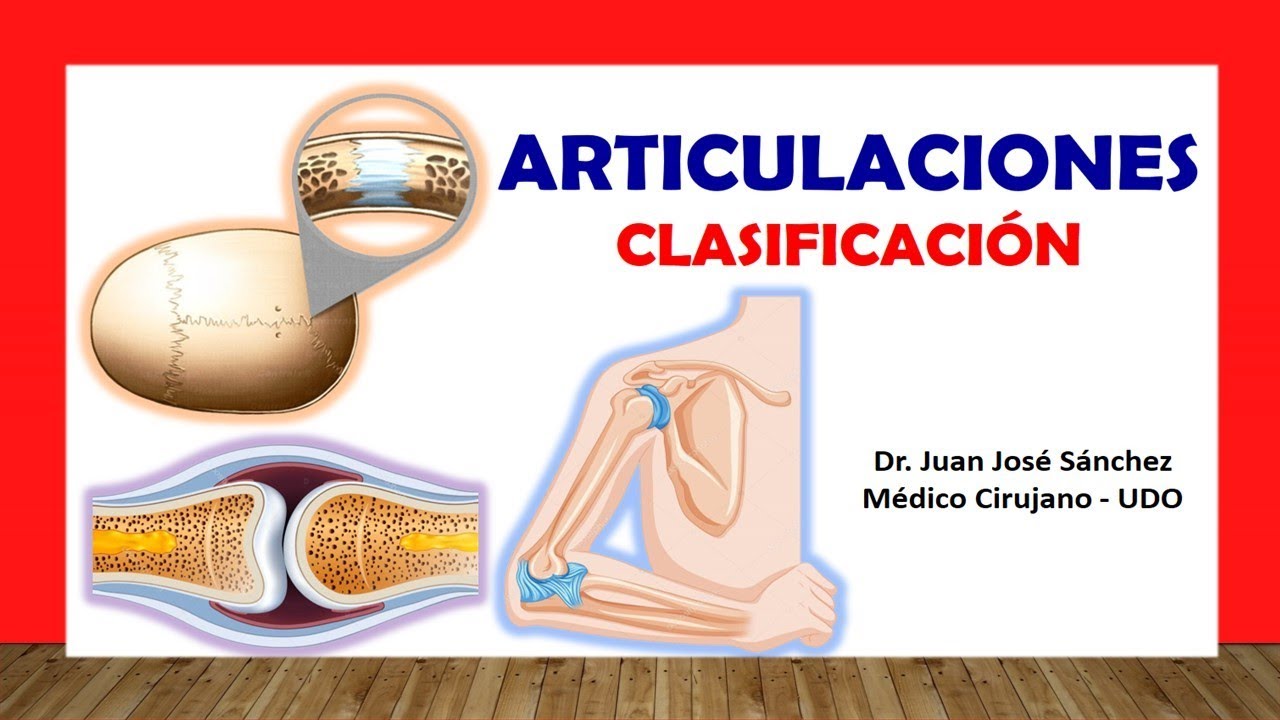 clasificacion estructural de las articulaciones
