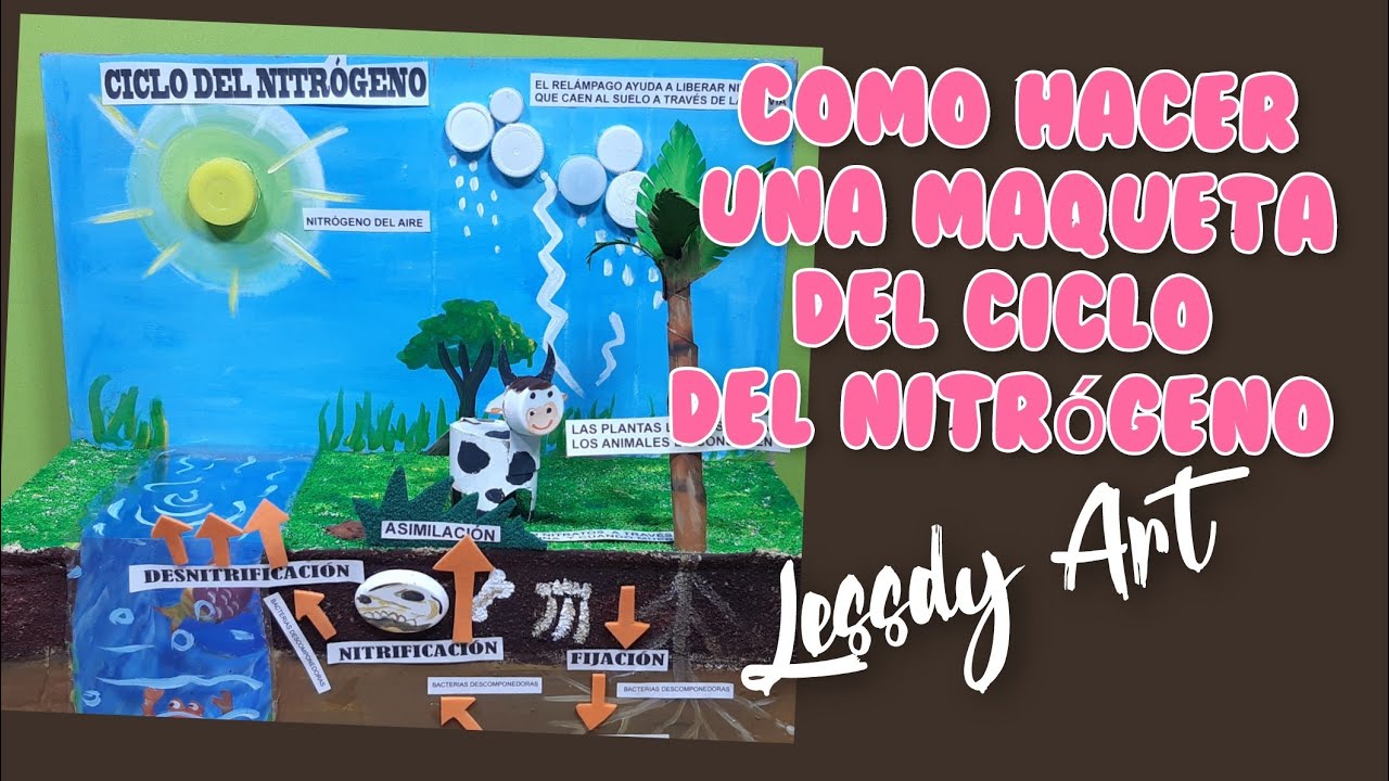 como hacer maqueta del ciclo del nitrogeno