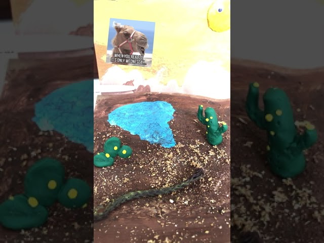 desierto factores bioticos y abioticos