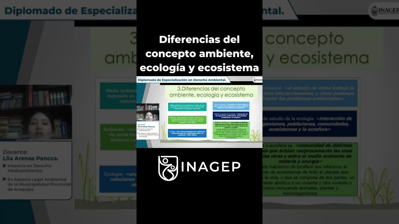 diferencia entre medio ambiente y ecosistema