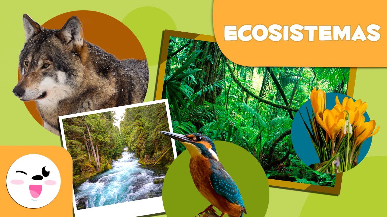 donde se encuentran los ecosistemas