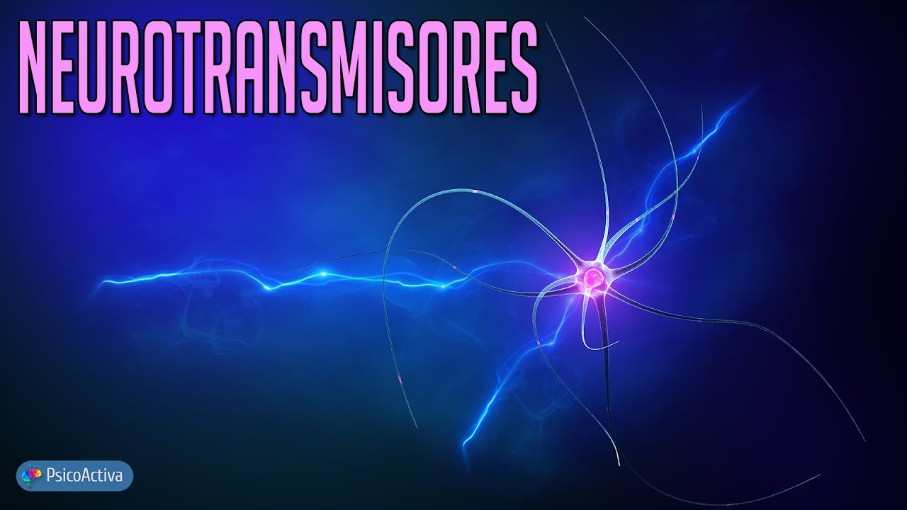 ejemplos de neurotransmisores y sus funciones