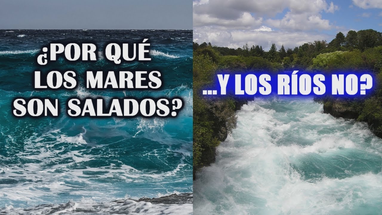 el agua de oceanos y mares se evapora