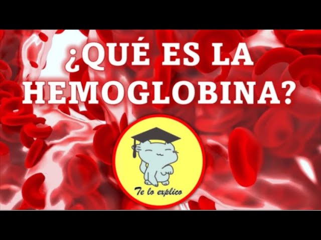 estructura de la hemoglobina sanguinea