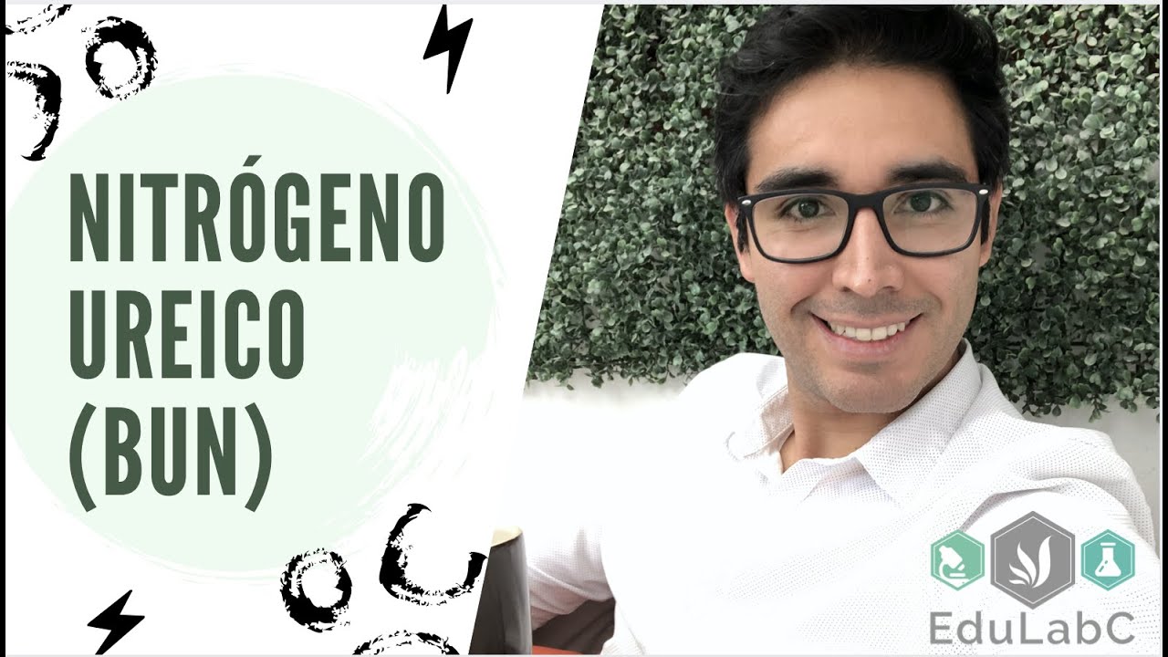 exceso de nitrógeno en el cuerpo humano