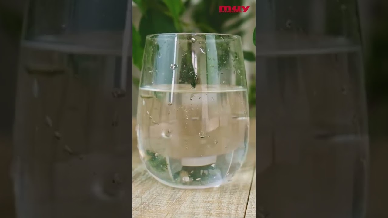 las plantas verdes deben su color principalmente a la presencia de