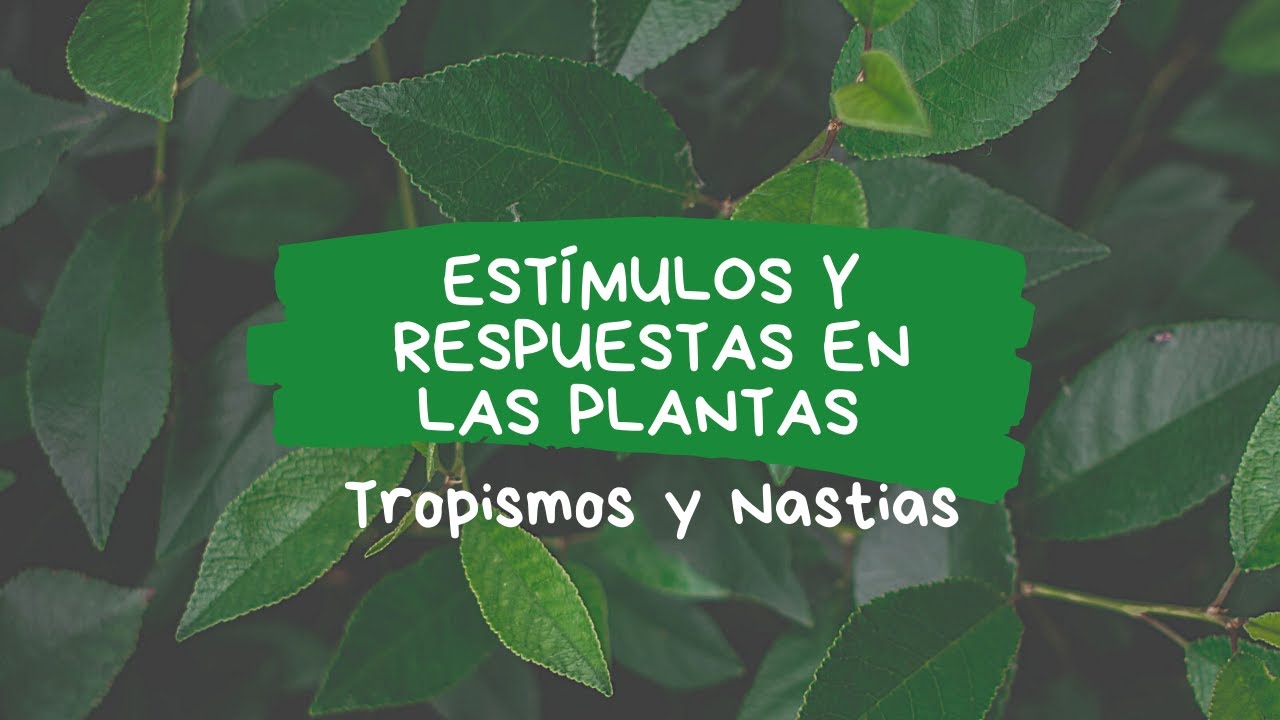 mecanismos de respuestas de las plantas