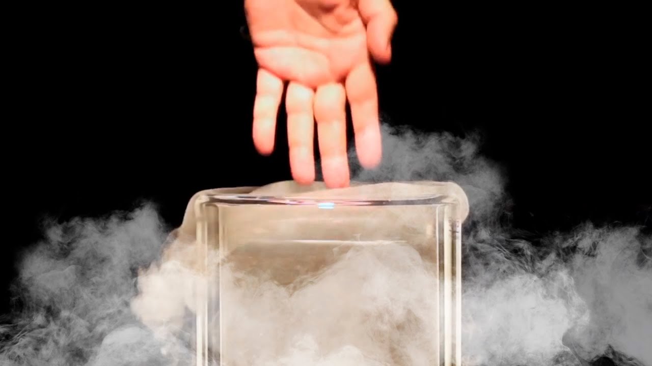 que pasa si hay exceso de nitrógeno en el cuerpo humano