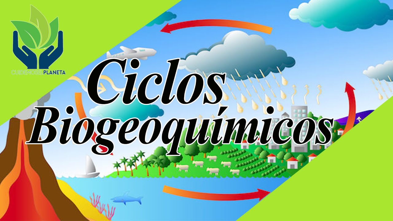 relacion entre los ciclos biogeoquimicos