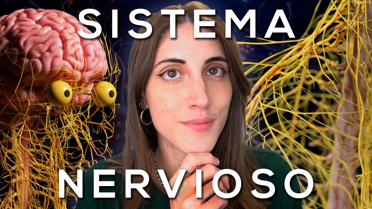 sistemas de protección del sistema nervioso