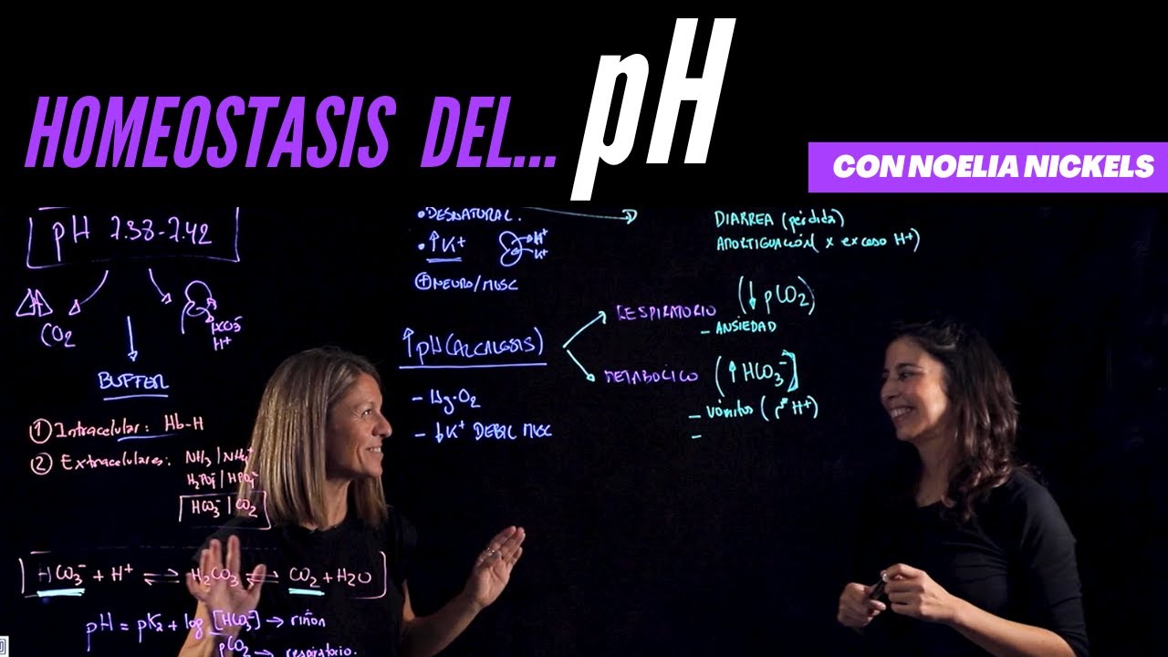 sistemas extrasanguíneos que tienden a mantener el ph extracelular