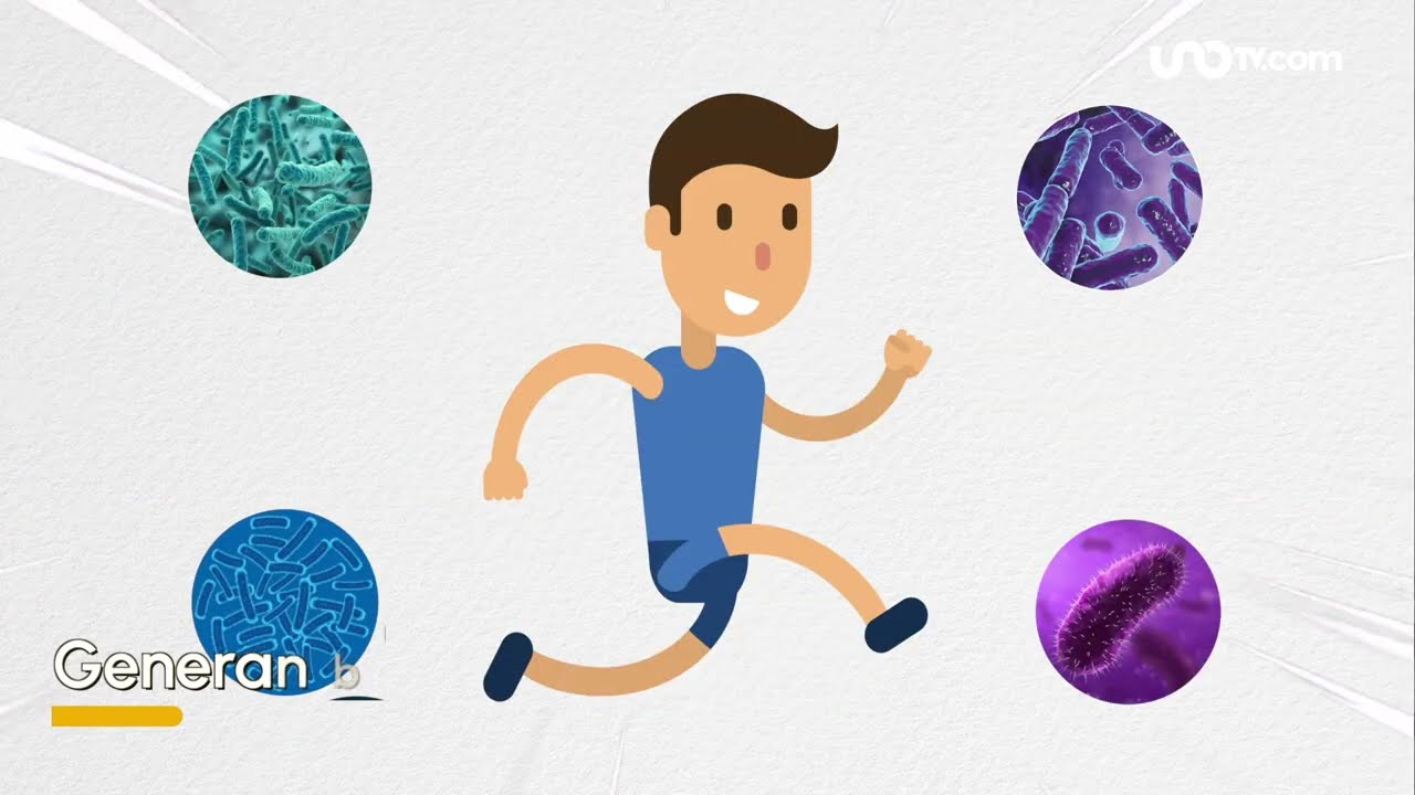 beneficios de las bacterias para el ser humano