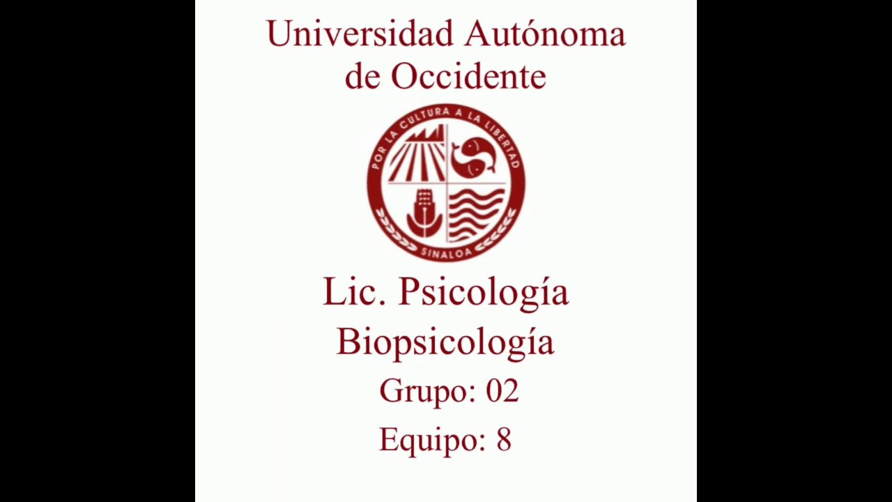 caracteristicas de la membrana nuclear