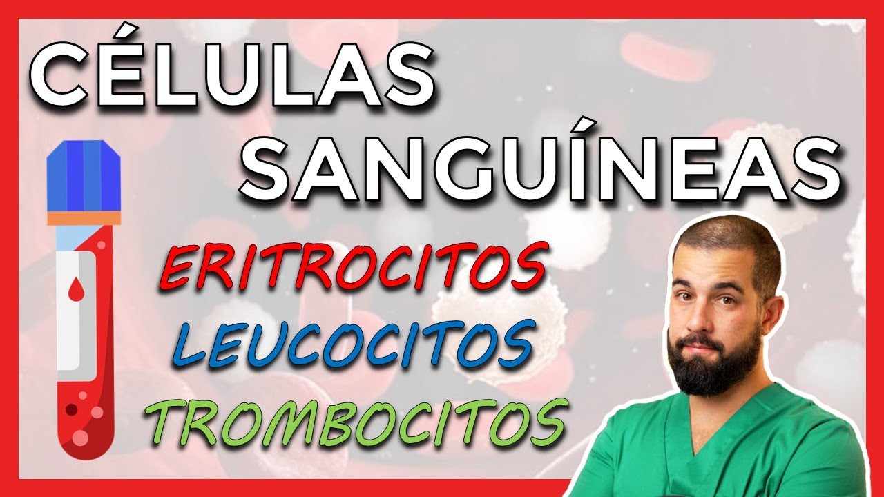 celulas que se encuentran en la sangre