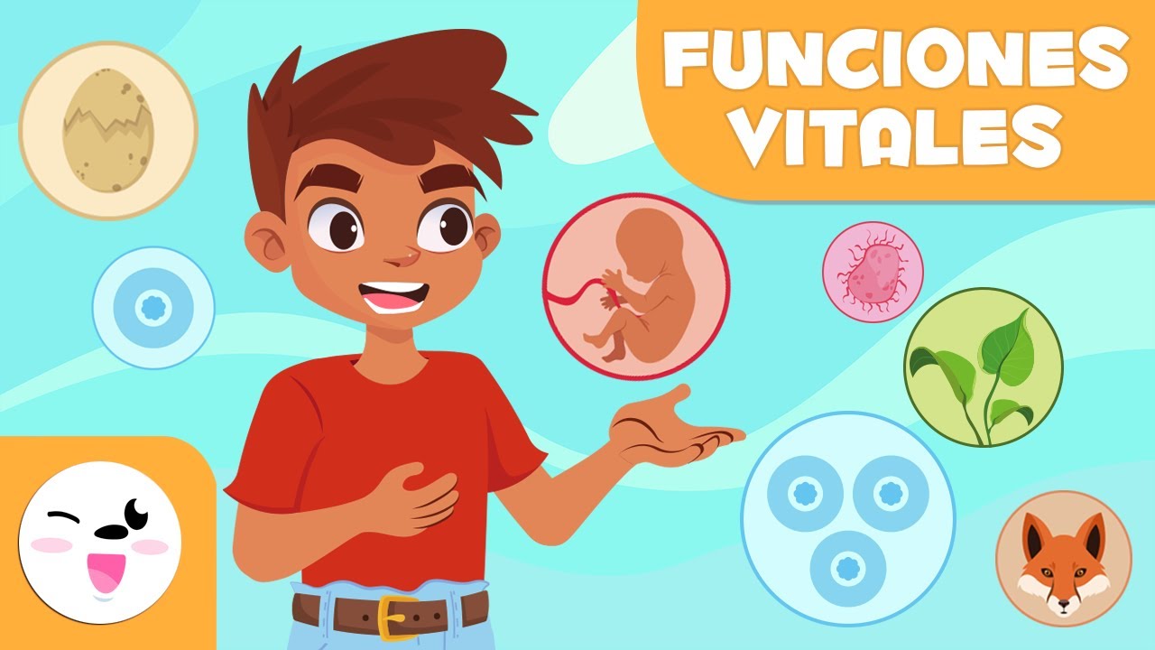 ciencia que estudia la estructura de los seres vivos y de sus procesos vitales