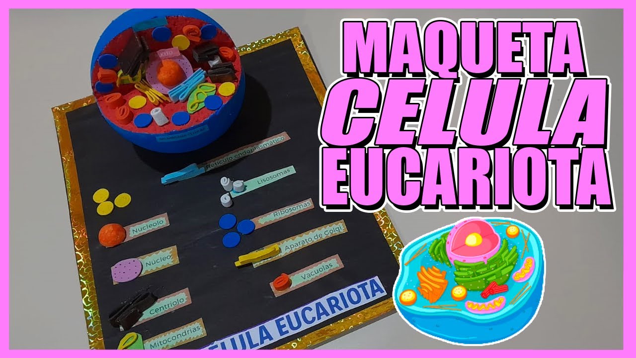 como hacer una maqueta de la celula eucariota