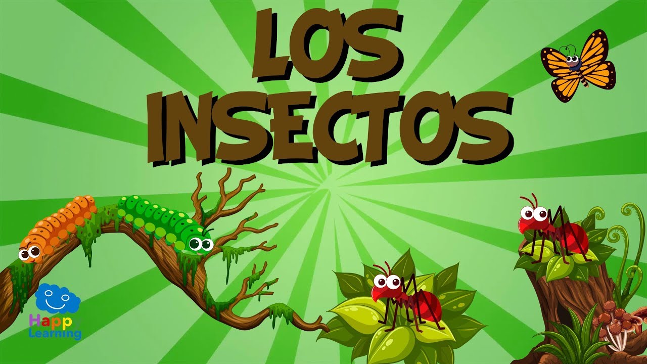 cómo se llaman los que estudian los insectos