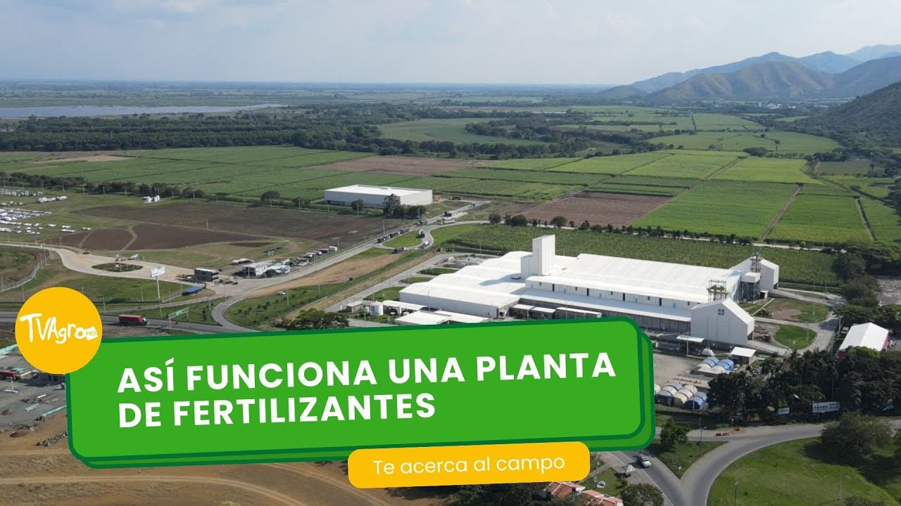 como se sintetizan los fertilizantes quimicos