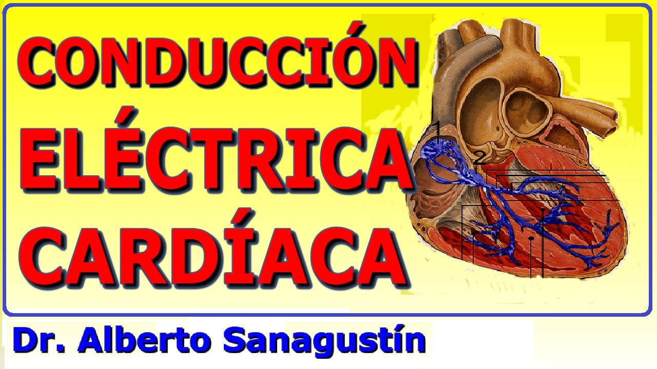 conduccion del impulso nervioso en el corazon