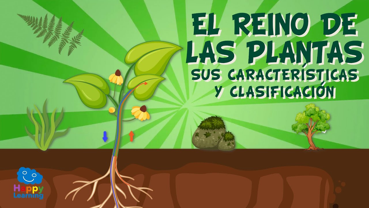 conjunto de plantas y animales que habitan en una región
