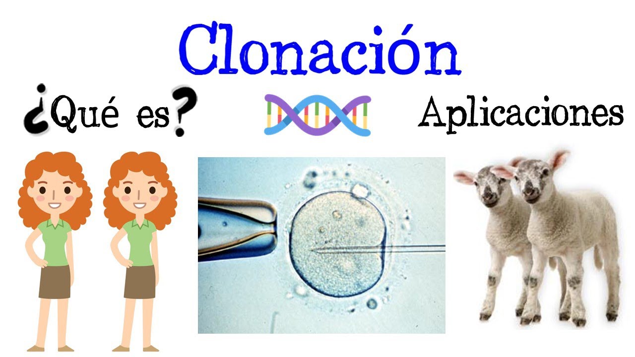 consecuencias positivas de la clonación