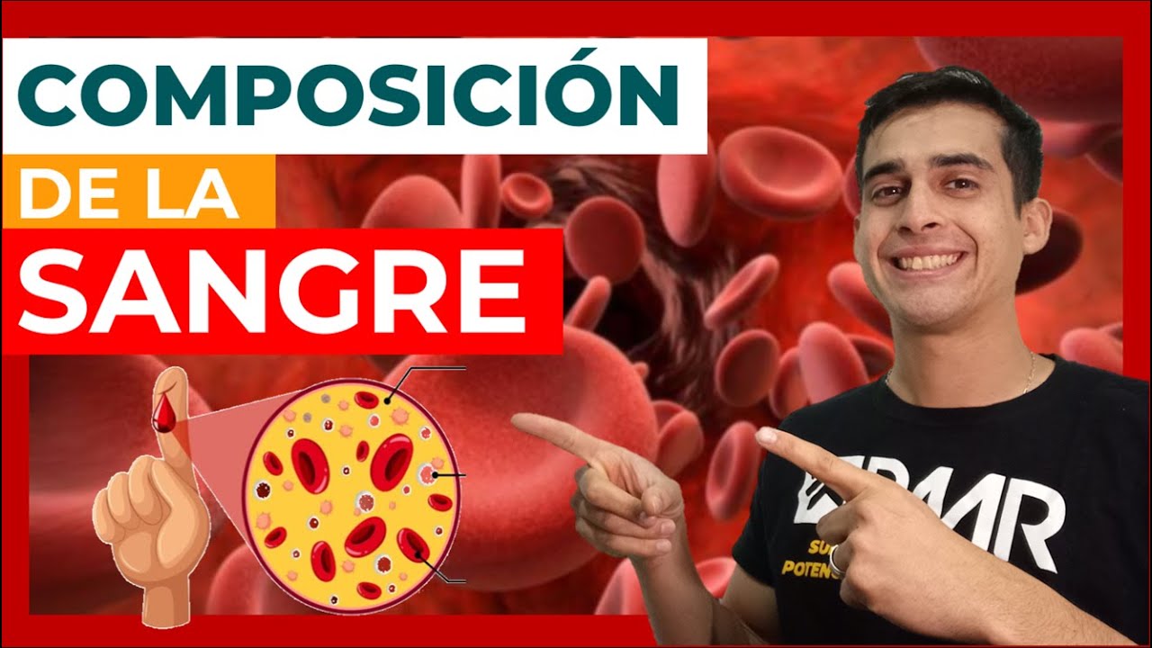 cuál es la composición de la sangre