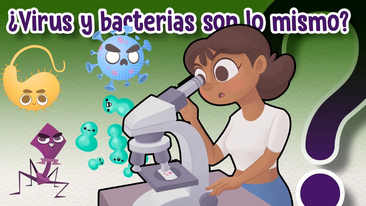 cual es la diferencia entre virus y bacteria