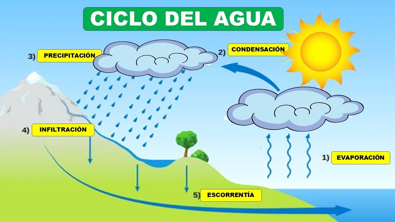 cual es la importancia del ciclo hidrologico