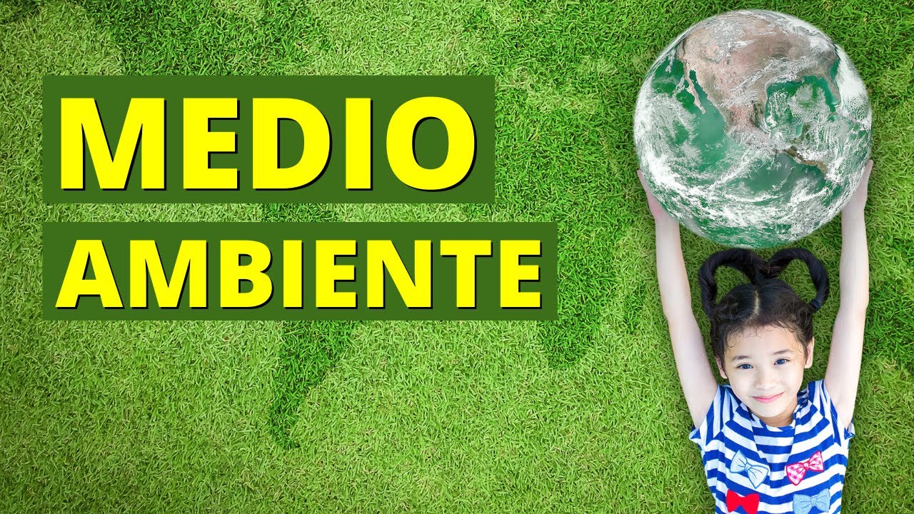 cuáles son las características del medio ambiente