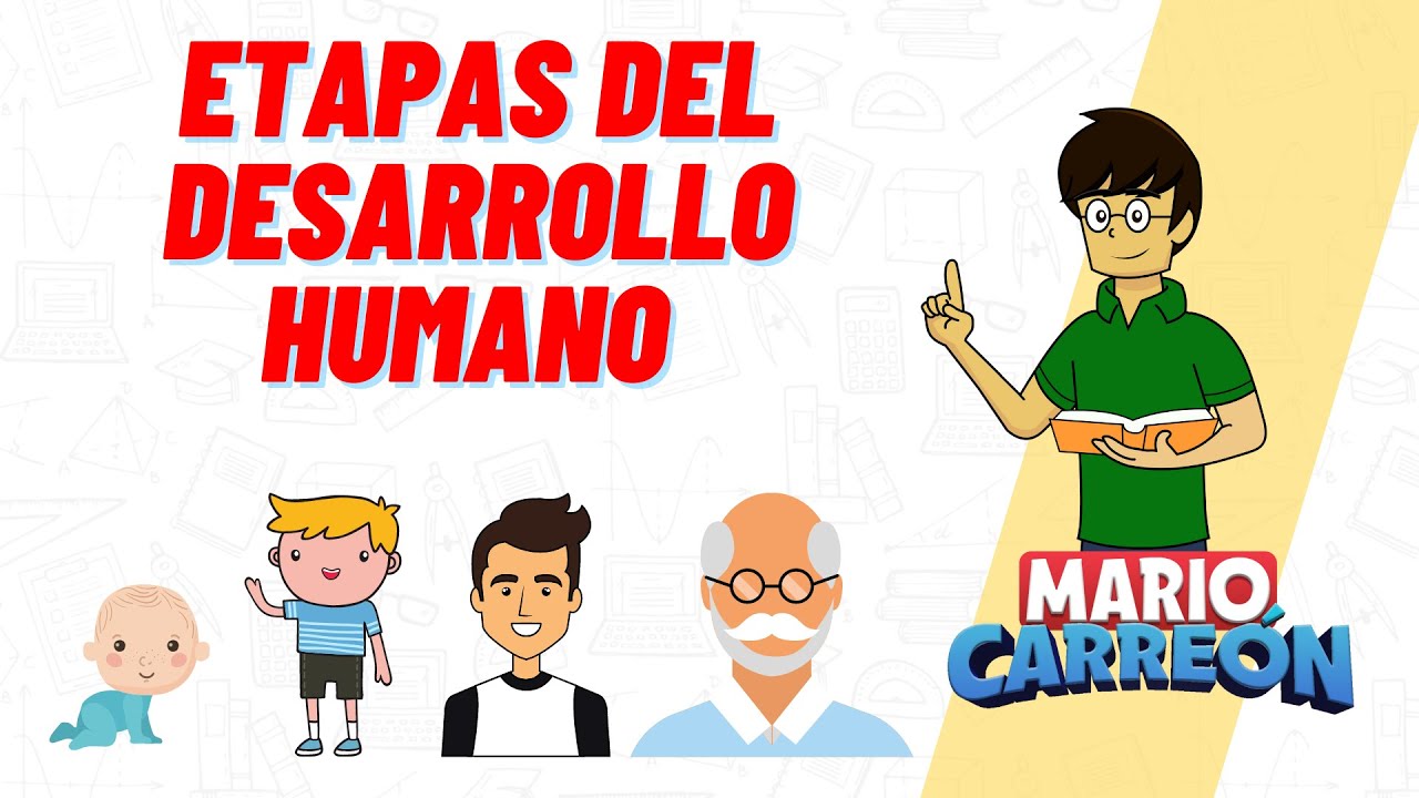 cuáles son los procesos de crecimiento y desarrollo del ser humano