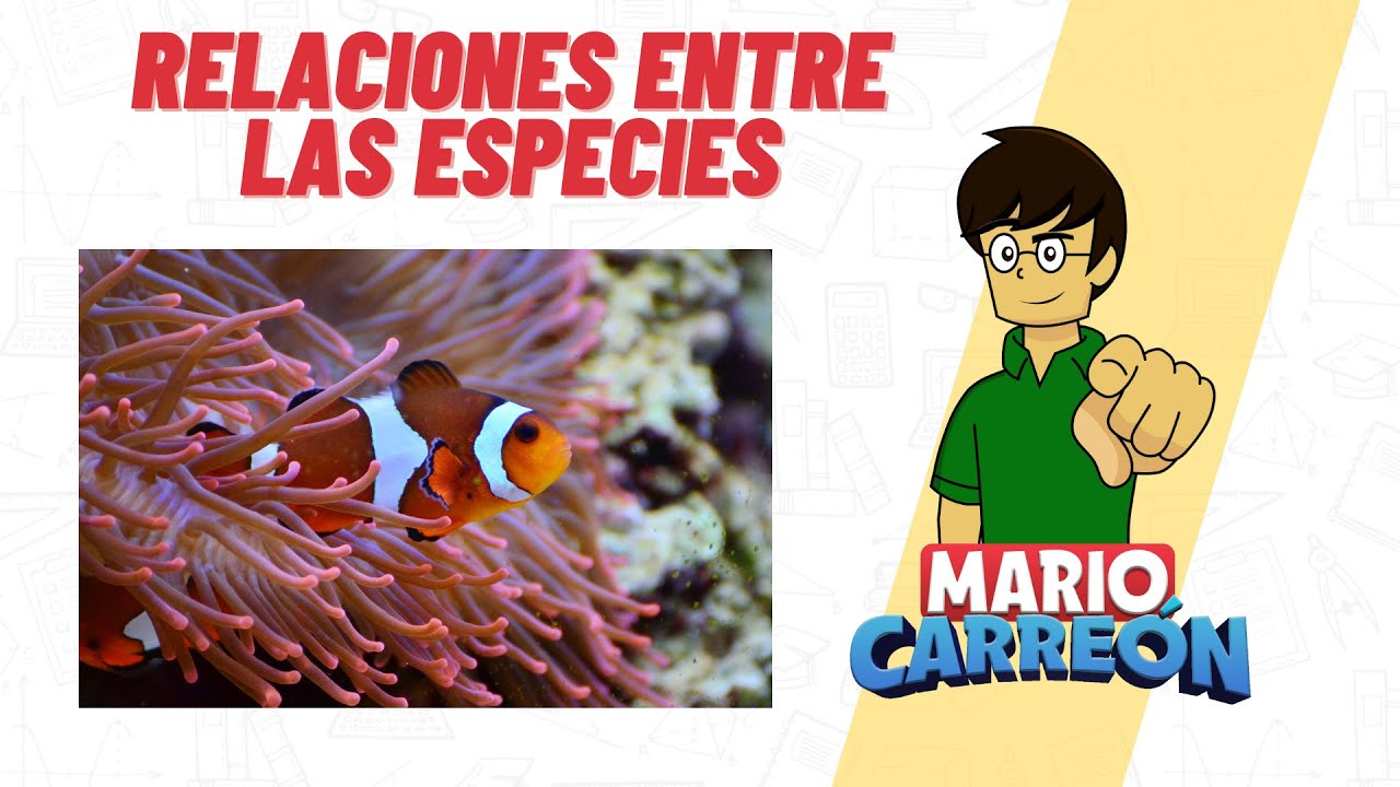 de que manera las interacciones de las especies con otras en los ecosistemas