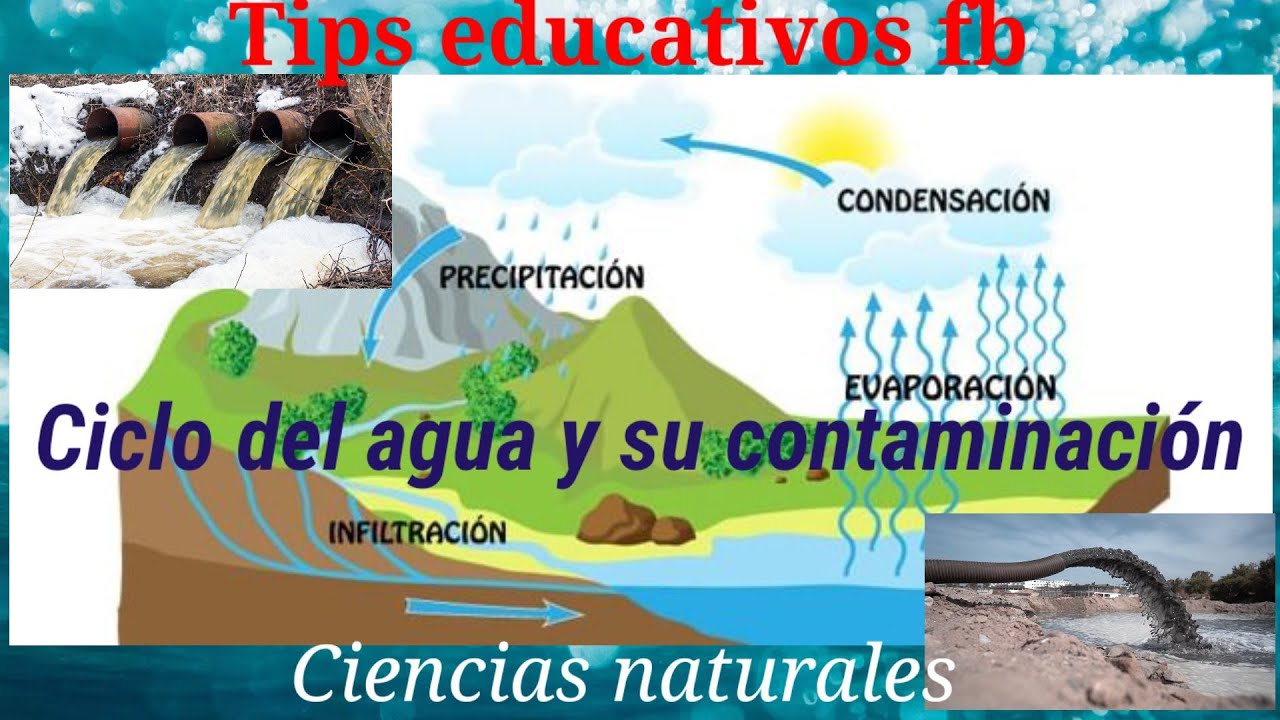 de qué manera se ve alterado el ciclo del agua por la contaminación