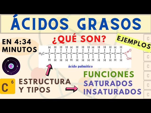 ejemplos de acidos grasos saturados