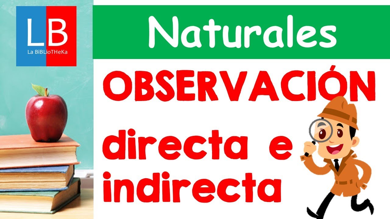 ejercicios de observacion directa e indirecta