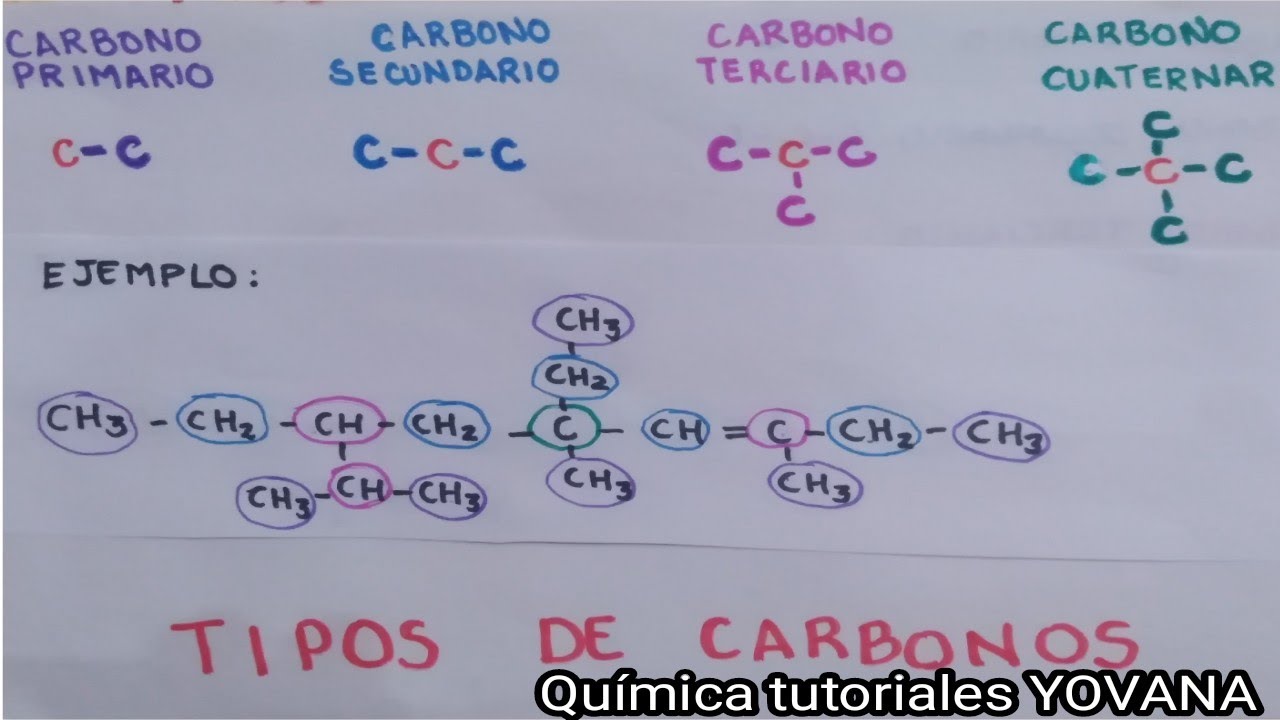 el carbono a qué clasificación corresponde