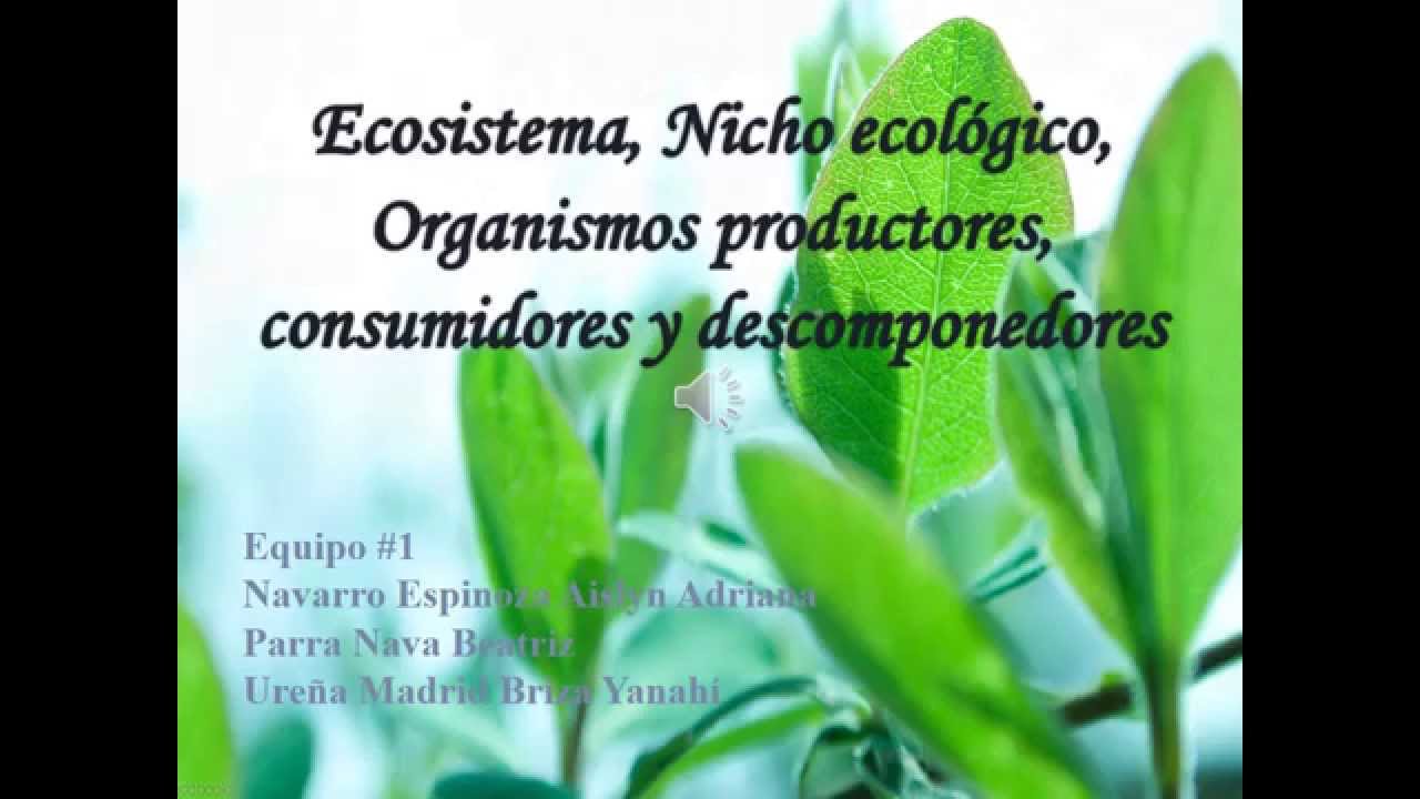 el nicho ecológico de los productores está ocupado por organismos