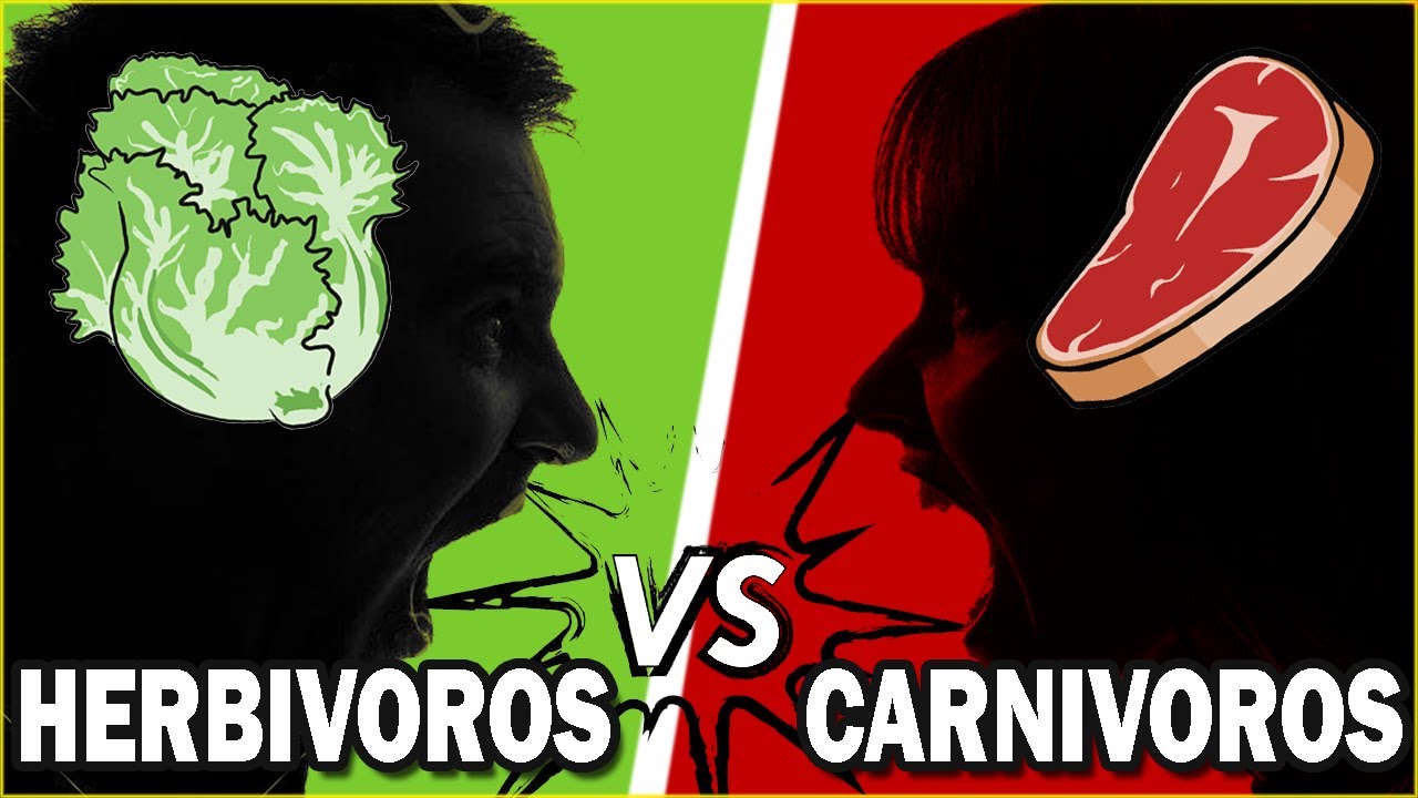 el ser humano es carnivoro herbivoro o omnivoro
