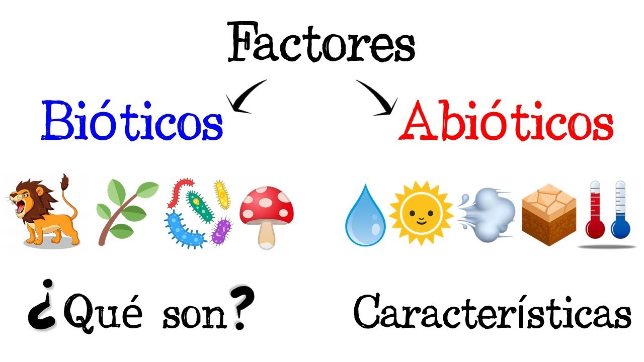 esquema de factores bioticos y abioticos