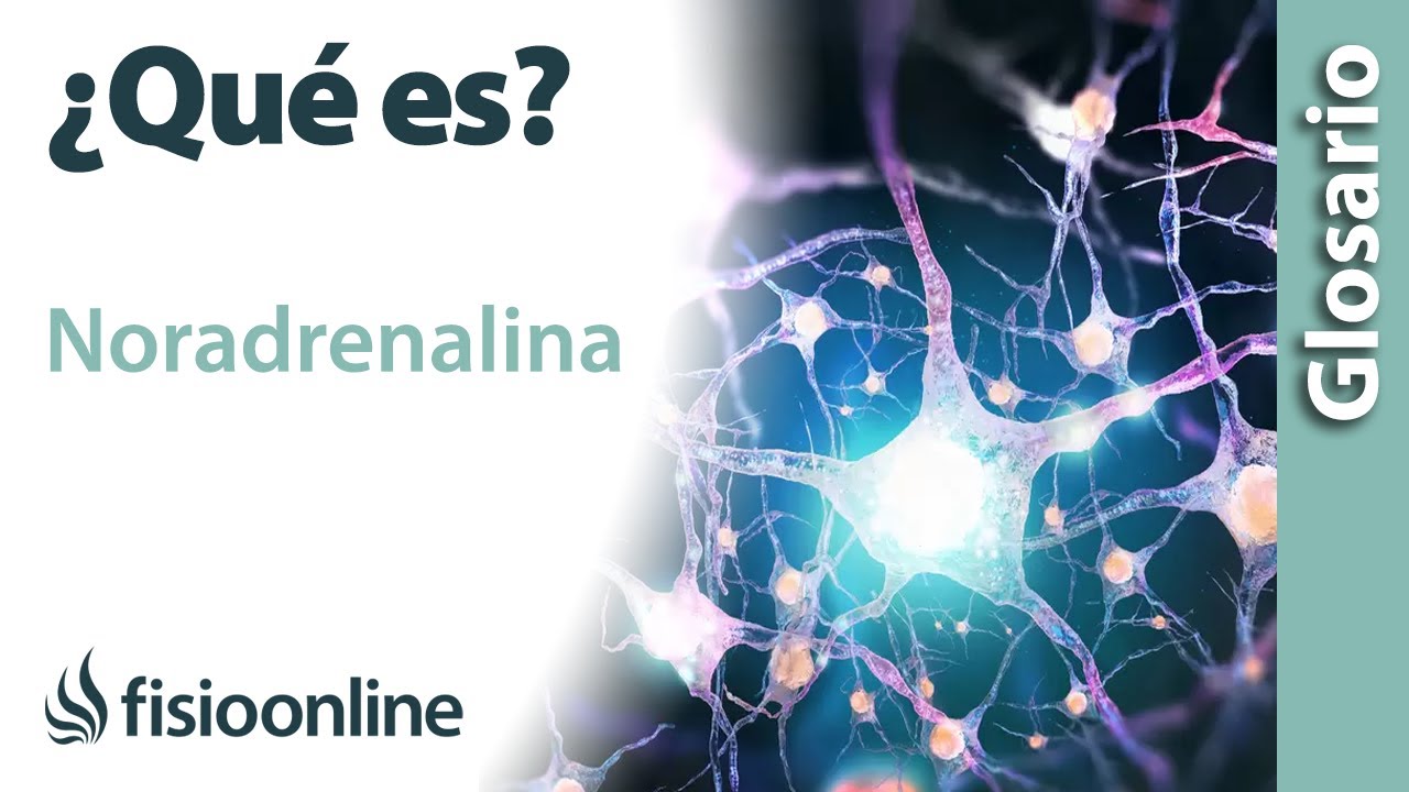 estructura quimica de la noradrenalina