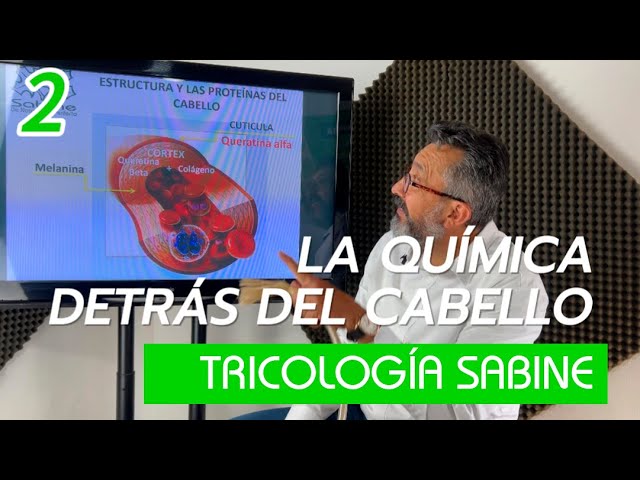 estructura quimica de la queratina