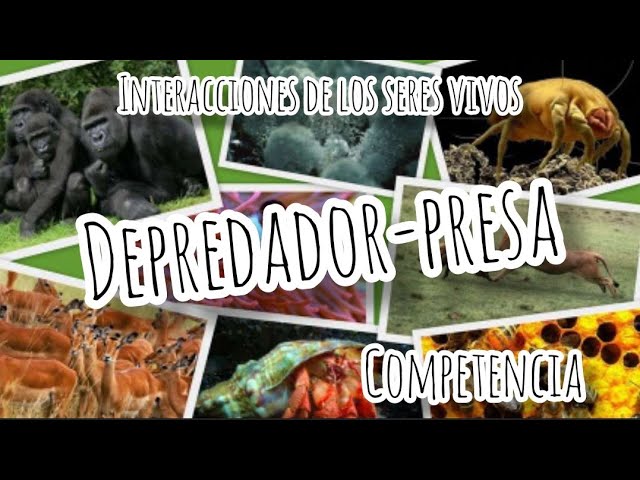 factores limitantes competencia y depredacion