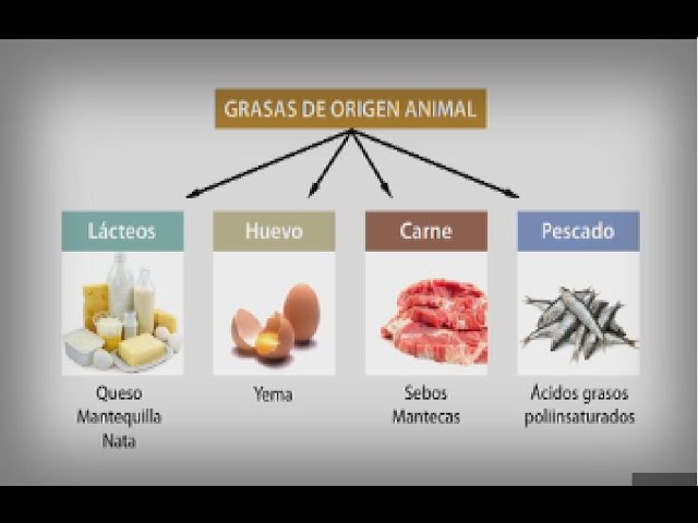 fuentes alimenticias de los lipidos