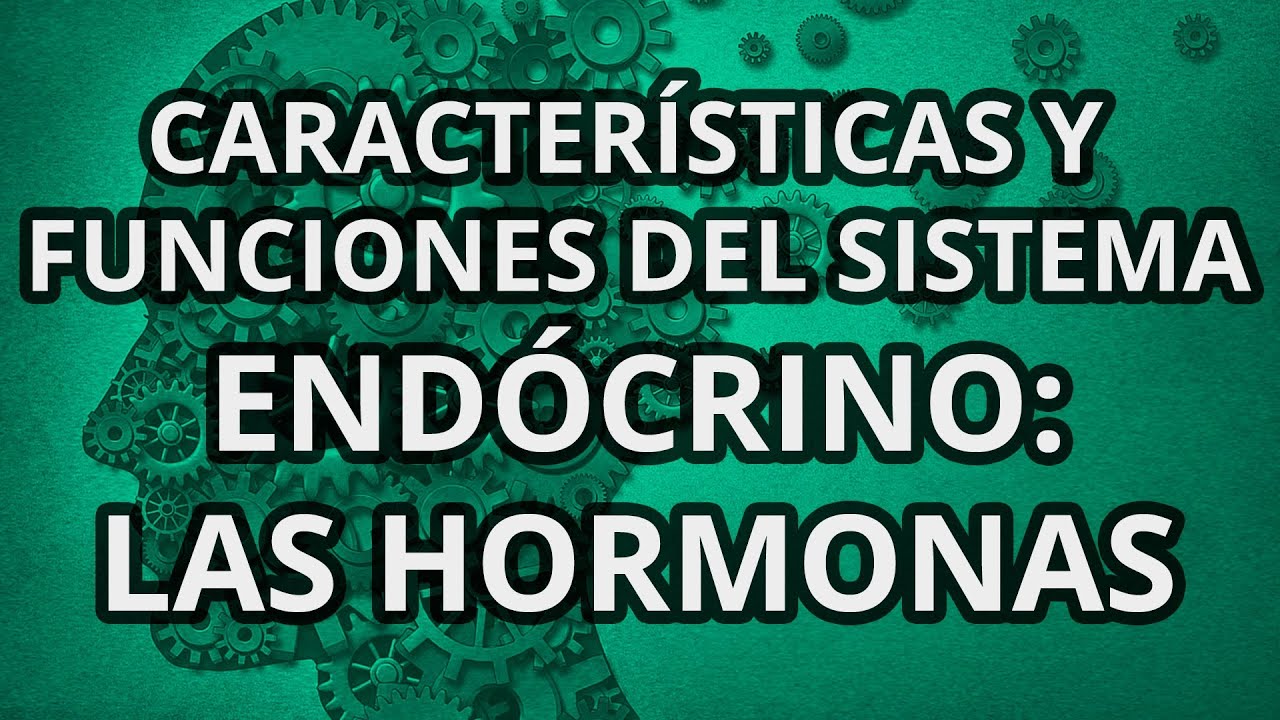 funcion de las hormonas del sistema endocrino