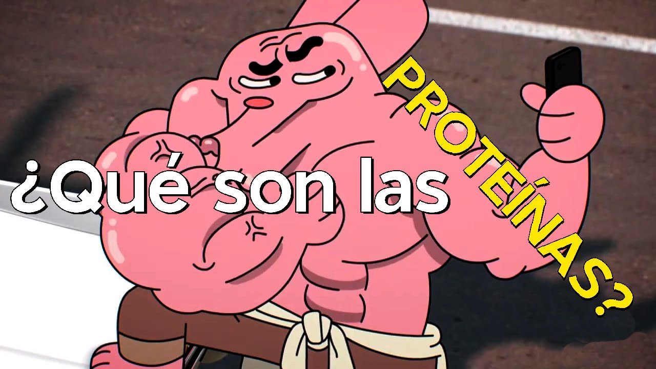 funcion en el cuerpo de las proteinas