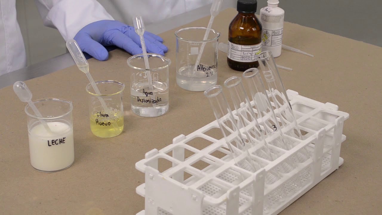identificacion de proteinas en el laboratorio