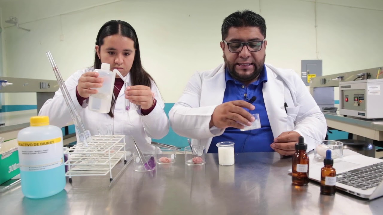 identificacion de proteinas en los alimentos