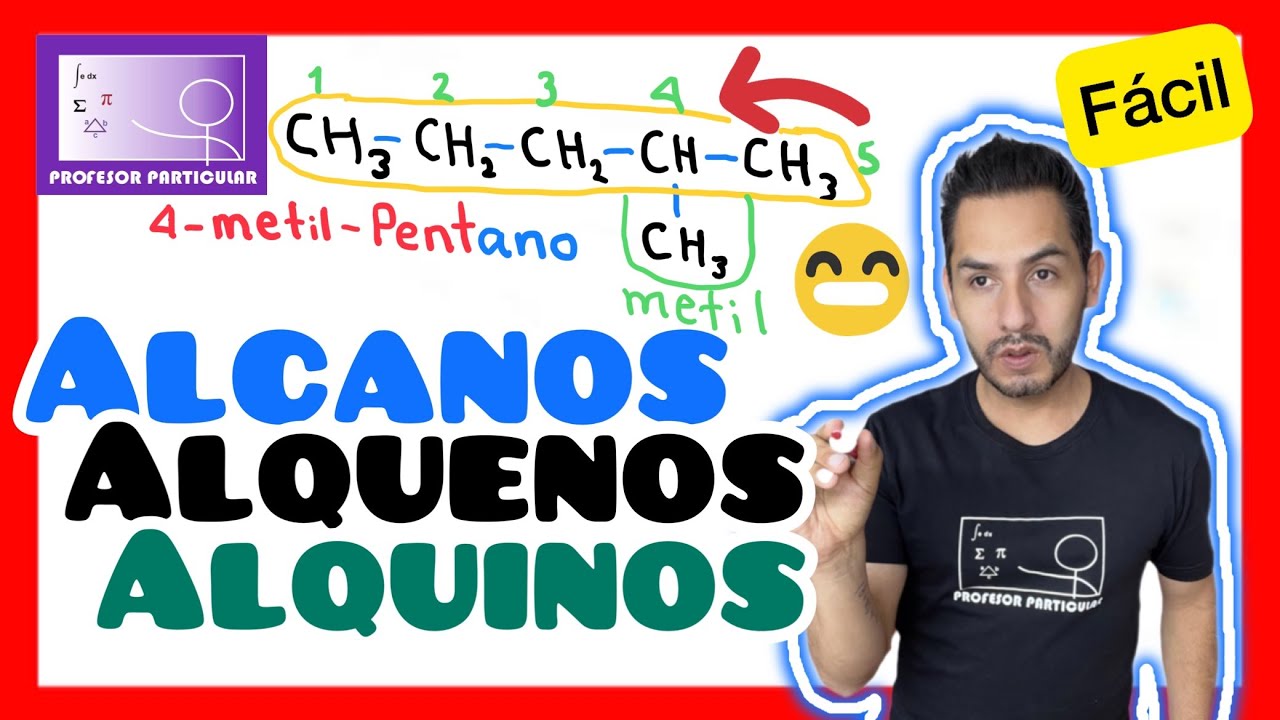 los alcanos son hidrocarburos insaturados